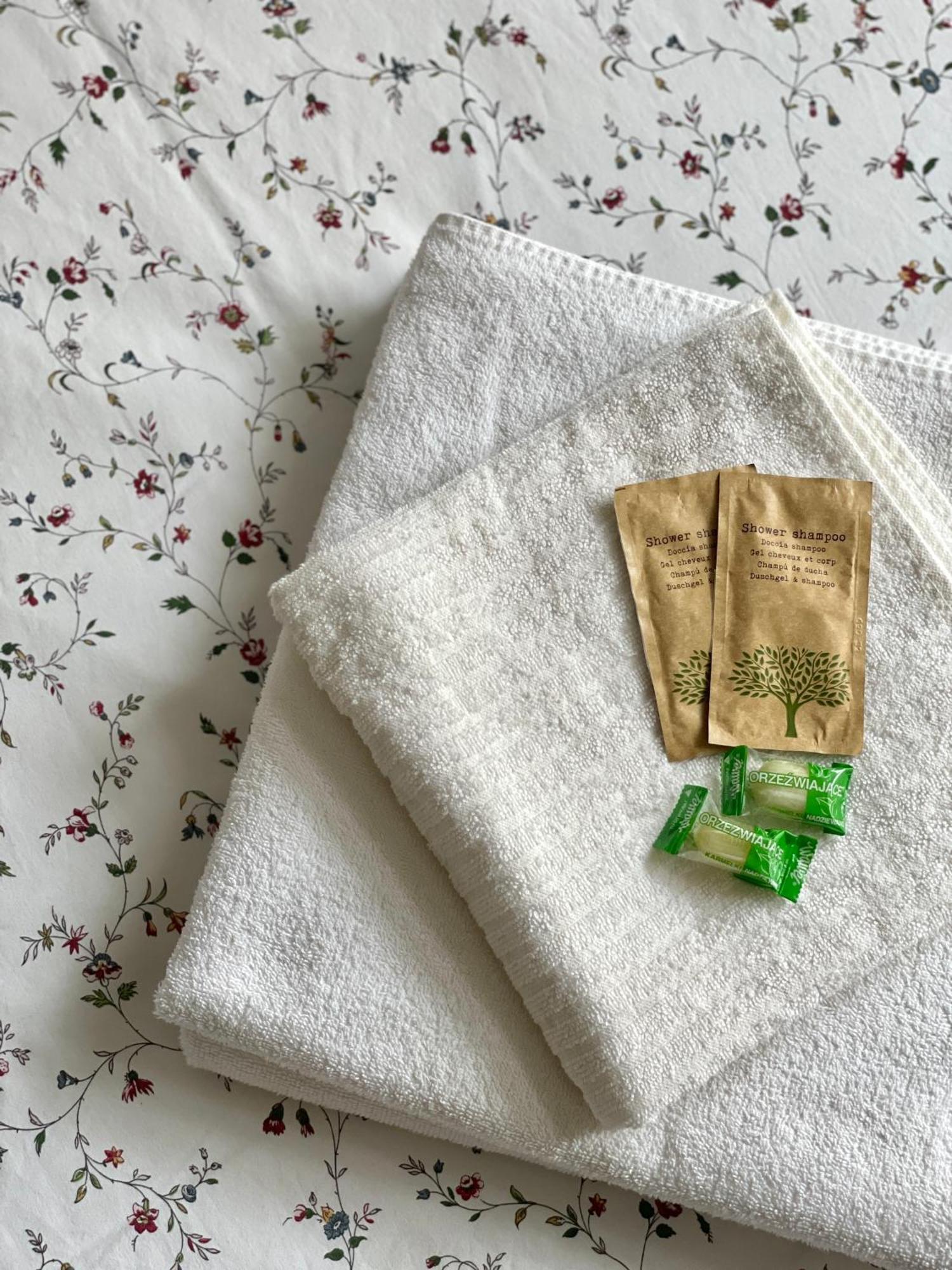 Copernicus Street Apartment - Broken Flowers And Twin Peaks Torun Ngoại thất bức ảnh